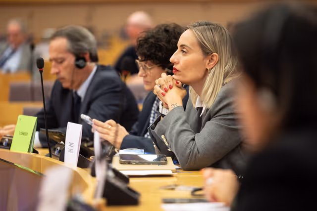 Снимка 15: Delegations for relations with South Africa Constitutive meeting