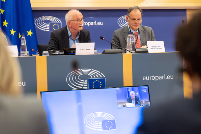 Снимка 12: Delegations for relations with South Africa Constitutive meeting