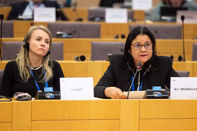 Снимка 10: Delegations for relations with South Africa Constitutive meeting