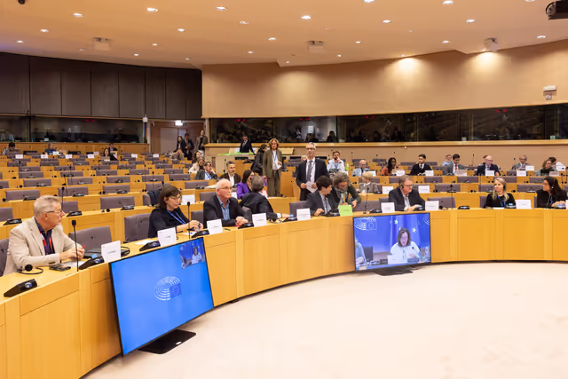 Снимка 23: Delegations for relations with South Africa Constitutive meeting