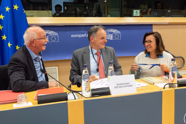 Снимка 4: Delegations for relations with South Africa Constitutive meeting