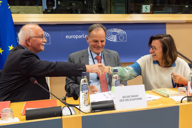 Снимка 3: Delegations for relations with South Africa Constitutive meeting