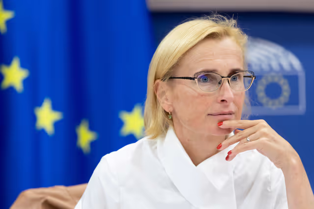 Zdjęcie 29: Delegation to the Africa-EU Parliamentary Assembly Connstitutive meeting