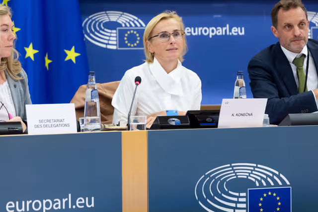 Zdjęcie 28: Delegation to the Africa-EU Parliamentary Assembly Connstitutive meeting