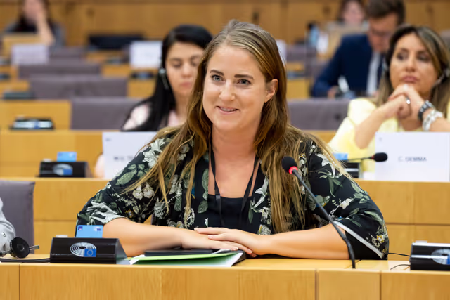 Zdjęcie 27: Delegation to the Africa-EU Parliamentary Assembly Connstitutive meeting