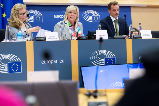 Zdjęcie 16: Delegation to the Africa-EU Parliamentary Assembly Connstitutive meeting