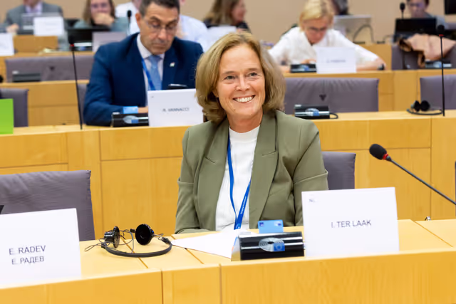 Zdjęcie 14: Delegation to the Africa-EU Parliamentary Assembly Connstitutive meeting