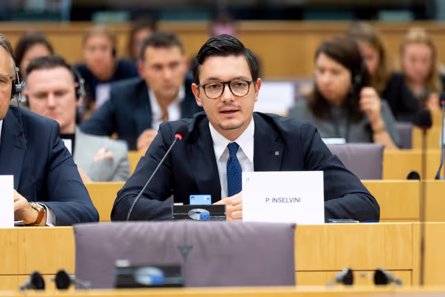 Zdjęcie 12: Delegation to the Africa-EU Parliamentary Assembly Connstitutive meeting