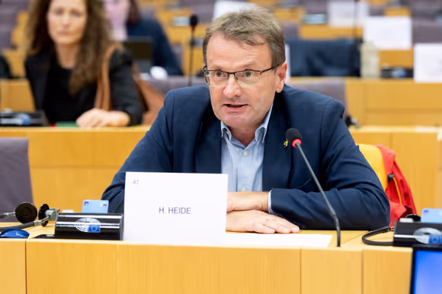 Zdjęcie 7: Delegation to the Africa-EU Parliamentary Assembly Connstitutive meeting