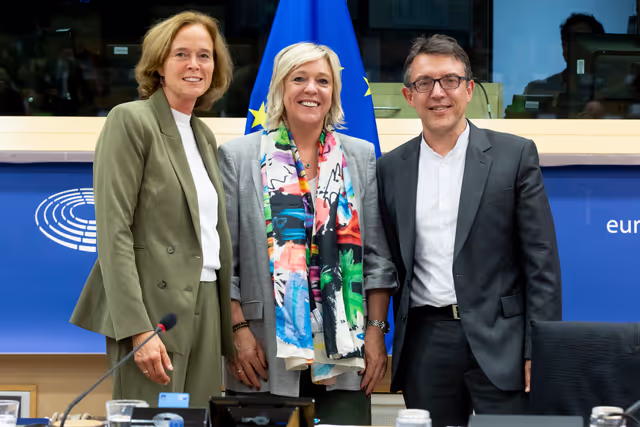 Delegation to the Africa-EU Parliamentary Assembly Connstitutive meeting