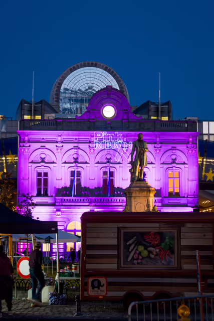 Zdjęcie 4: European Parliament in Brussels lit in pink to mark the Breast Cancer Awareness Month