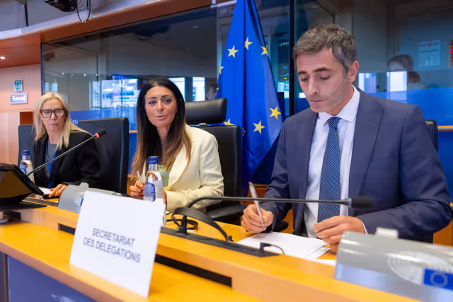 Photo 11: Delegation to the Parliamentary Assembly of the Union for the Mediterranean Constitutive meeting