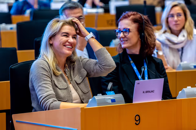Photo 1: Delegation to the Parliamentary Assembly of the Union for the Mediterranean Constitutive meeting