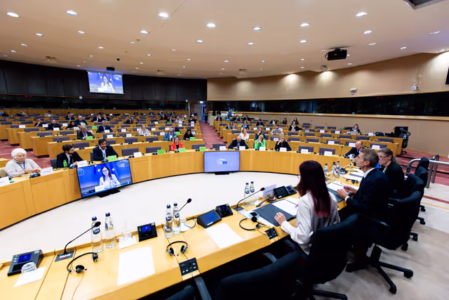 Fotó 18: Delegation to the Euronest Parliamentary Assembly Constitutive meeting