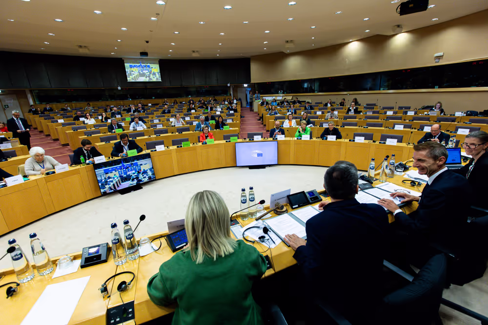 Delegation to the Euronest Parliamentary Assembly Constitutive meeting