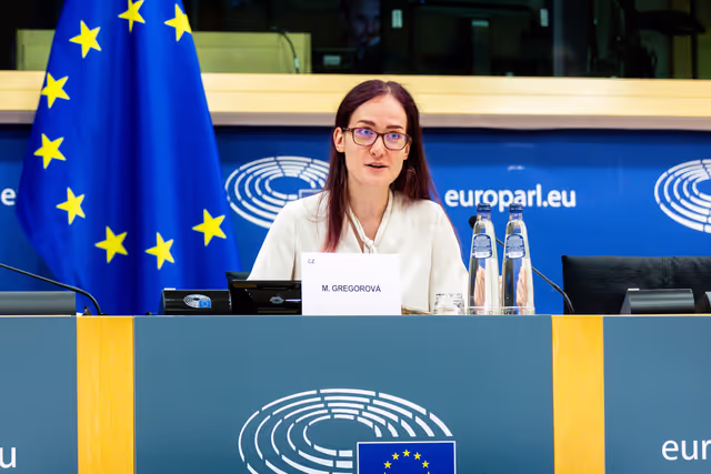 Fotó 23: Delegation to the Euronest Parliamentary Assembly Constitutive meeting
