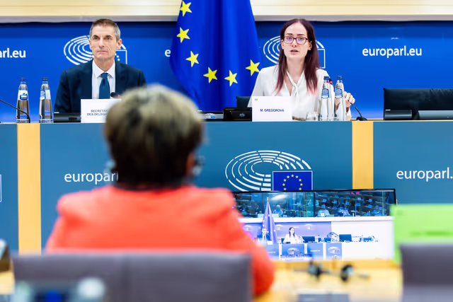 Fotó 16: Delegation to the Euronest Parliamentary Assembly Constitutive meeting
