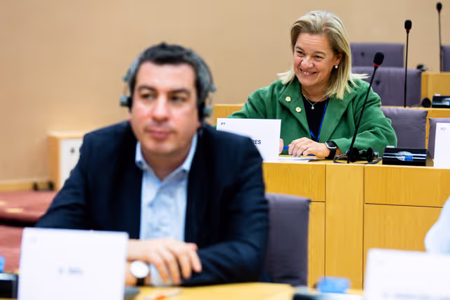 Fotografie 9: Delegation to the Euronest Parliamentary Assembly Constitutive meeting