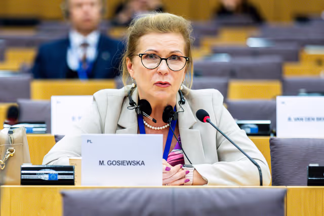 Fotó 6: Delegation to the Euronest Parliamentary Assembly Constitutive meeting