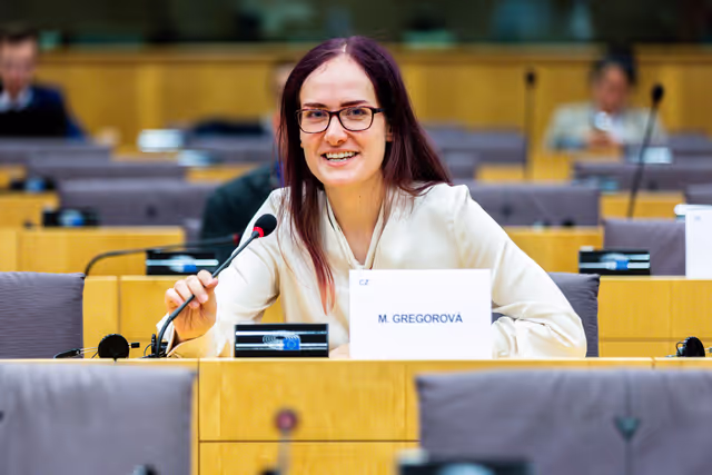 Fotografie 1: Delegation to the Euronest Parliamentary Assembly Constitutive meeting