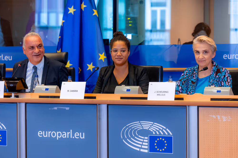 Delegation to the EU-Türkiye Joint Parliamentary Committee Constitutive meeting