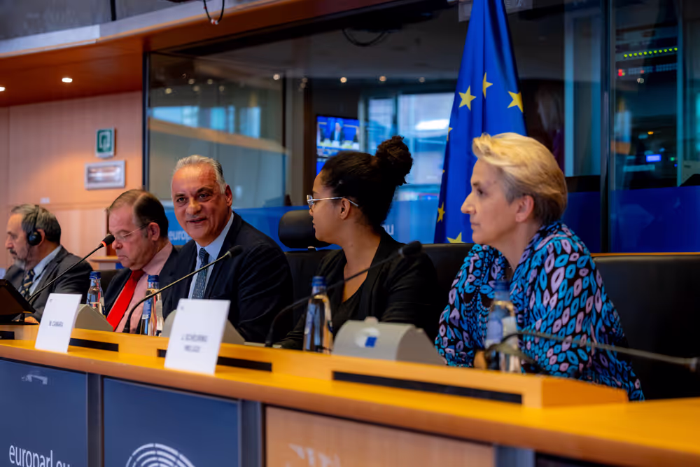 Delegation to the EU-Türkiye Joint Parliamentary Committee Constitutive meeting