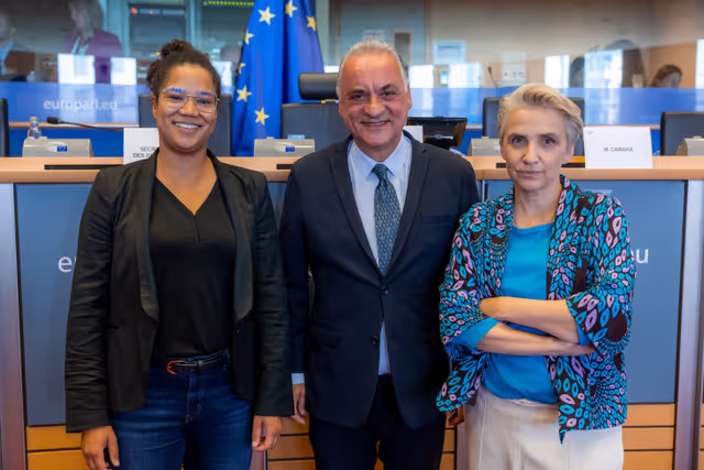 Nuotrauka 3: Delegation to the EU-Türkiye Joint Parliamentary Committee Constitutive meeting