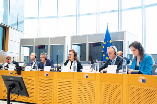 Nuotrauka 22: REGI - Presentation of the ECA Review 03/2024: An overview of the assurance framework and the key factors contributing to errors in 2014-2020 cohesion spending