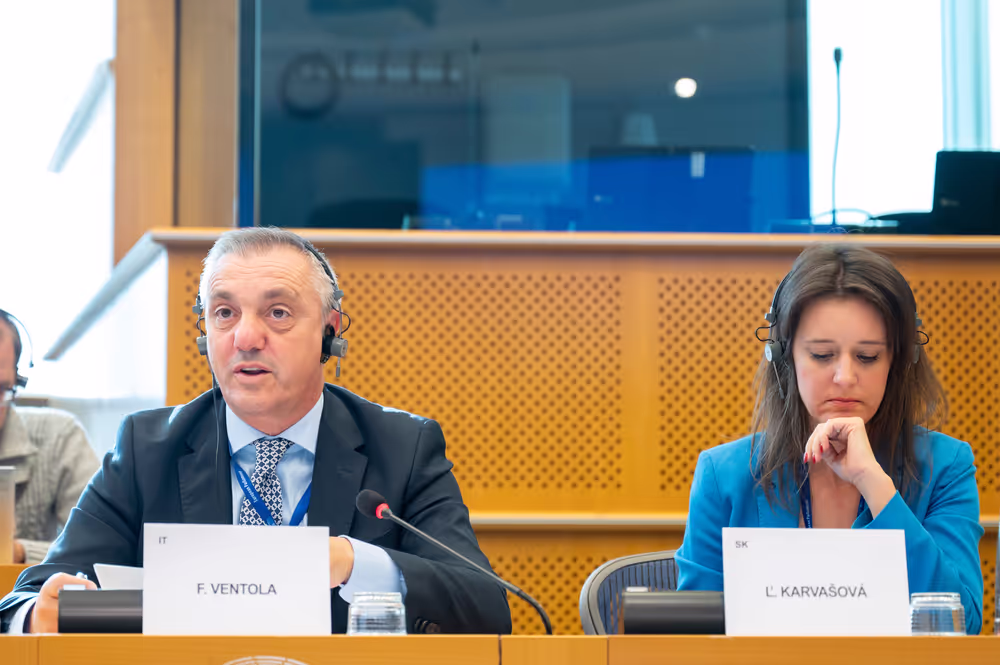 REGI - Presentation of the ECA Review 03/2024: An overview of the assurance framework and the key factors contributing to errors in 2014-2020 cohesion spending