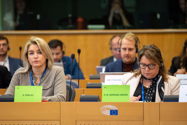 Nuotrauka 24: REGI - Presentation of the ECA Review 03/2024: An overview of the assurance framework and the key factors contributing to errors in 2014-2020 cohesion spending