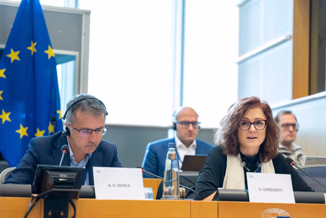 Nuotrauka 14: REGI - Presentation of the ECA Review 03/2024: An overview of the assurance framework and the key factors contributing to errors in 2014-2020 cohesion spending