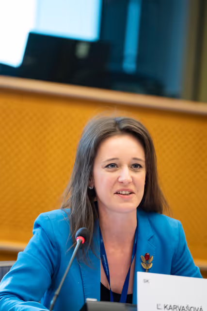 Nuotrauka 4: REGI - Presentation of the ECA Review 03/2024: An overview of the assurance framework and the key factors contributing to errors in 2014-2020 cohesion spending