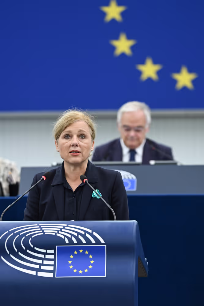 EP Plenary session - The democratic backsliding and threats to political pluralism in Georgia