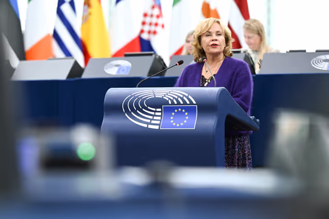 Fotografie 50: EP Plenary session - The democratic backsliding and threats to political pluralism in Georgia
