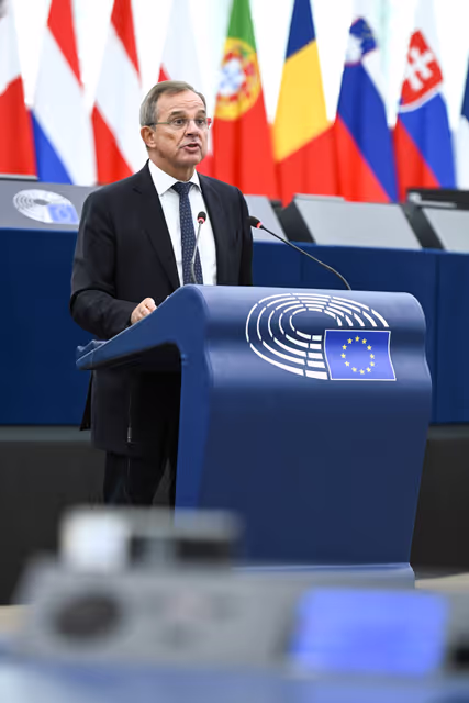 Fotografie 48: EP Plenary session - The democratic backsliding and threats to political pluralism in Georgia