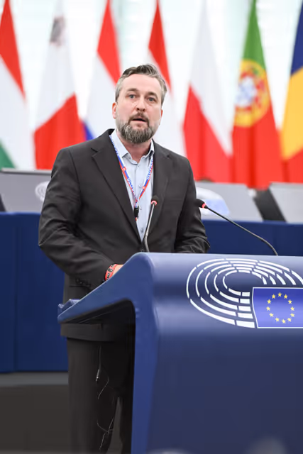 Fotografie 31: EP Plenary session - The democratic backsliding and threats to political pluralism in Georgia