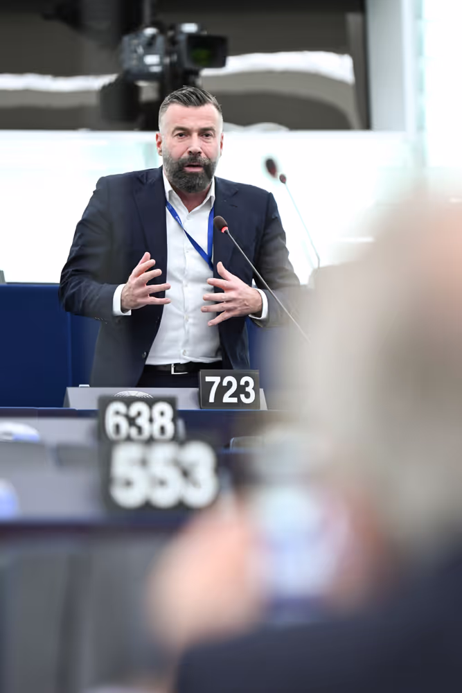 EP Plenary session - The democratic backsliding and threats to political pluralism in Georgia