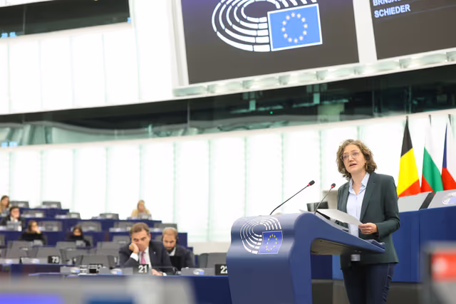 Foto 48: EP Plenary session -  Ensuring sustainable, decent and affordable housing in Europe - encouraging investment, private property and public housing programmes