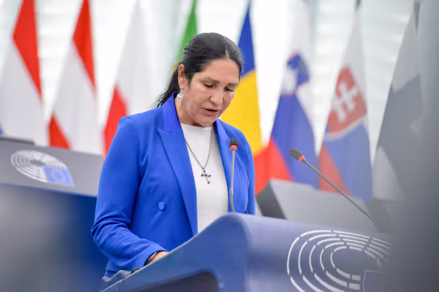 Photo 47: EP Plenary session - Debates on cases of breaches of human rights, democracy and the rule of law