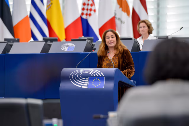 Photo 6: EP Plenary session - Debates on cases of breaches of human rights, democracy and the rule of law