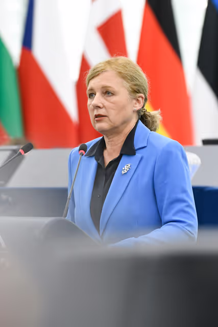 EP Plenary session - Urgent need to revise the medical devices regulation