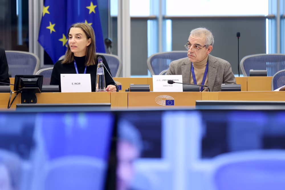 Delegations for relations with Iraq, including the EU-Iraq Parliamentary Cooperation Committee  constitutive meeting