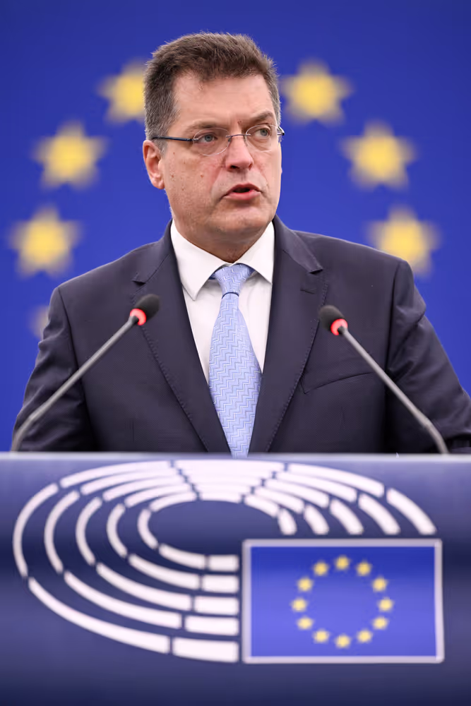 EP Plenary session - The urgent need for a ceasefire in Lebanon and for safeguarding the UNIFIL mission in light of the recent attacks