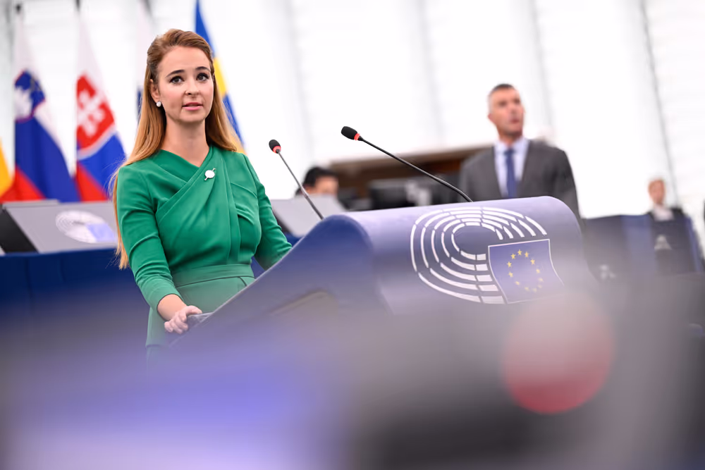 EP Plenary session - The urgent need for a ceasefire in Lebanon and for safeguarding the UNIFIL mission in light of the recent attacks