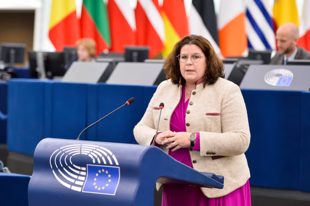 EP Plenary session - Foreign interference and hybrid attacks: the need to strengthen EU resilience and internal security
