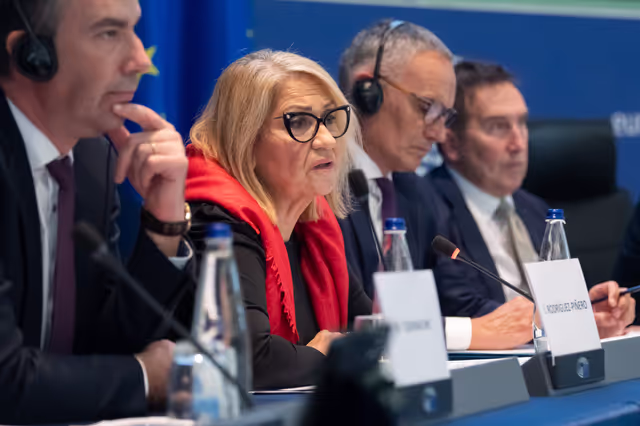 Conference ' The European Parliament as an actor in EU external policies '
