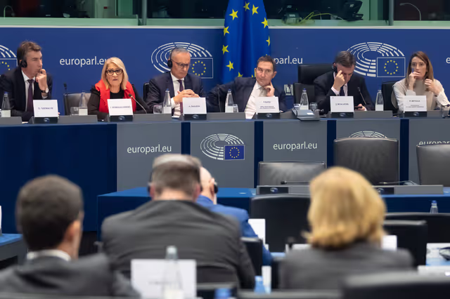 Conference ' The European Parliament as an actor in EU external policies '