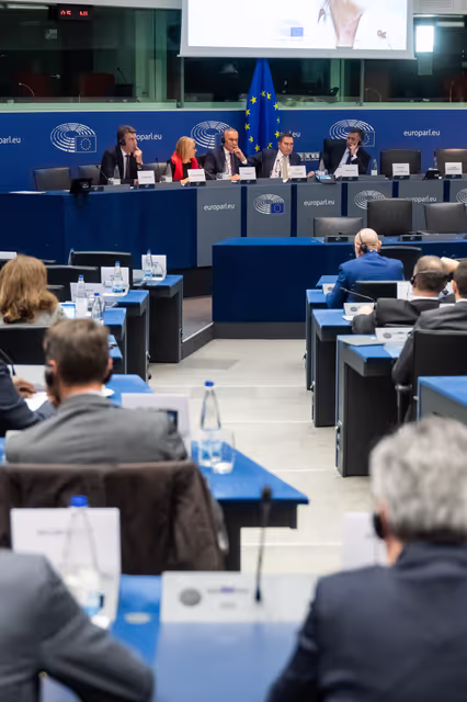 Conference ' The European Parliament as an actor in EU external policies '