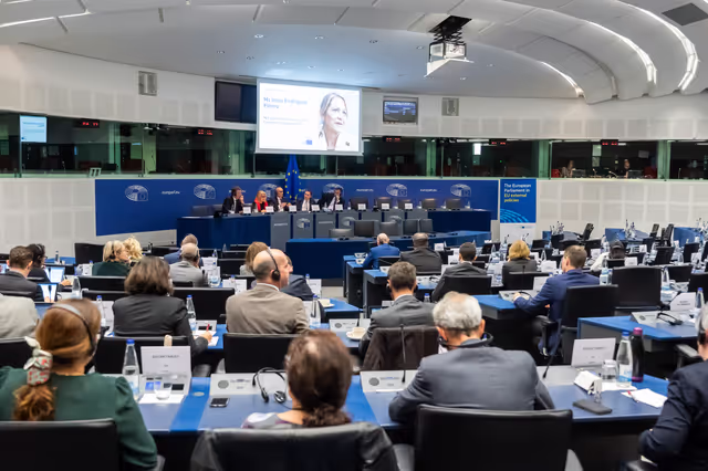 Conference ' The European Parliament as an actor in EU external policies '