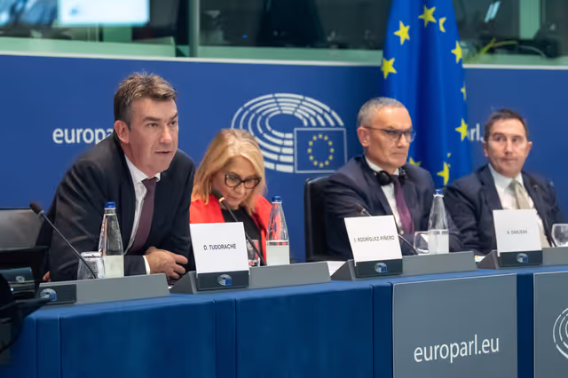 Conference ' The European Parliament as an actor in EU external policies '